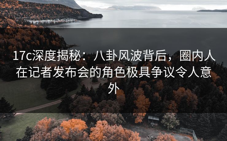 17c深度揭秘：八卦风波背后，圈内人在记者发布会的角色极具争议令人意外