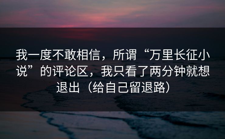 我一度不敢相信，所谓“万里长征小说”的评论区，我只看了两分钟就想退出（给自己留退路）